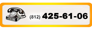 тел: 8 (812) 425-61-06